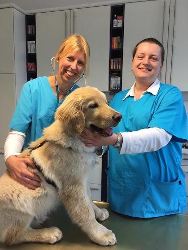 Dr. med. vet. Nicola Hörsting unter Dülmen, 