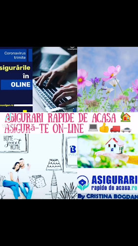 On-line - Asigurari rapide de acasa by Cristina Bogdan - Companie de Asigurari