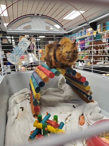 Pet Store «Windy City Pet Store», reviews and photos, 1660 N 4th St m, Laramie, WY 82072, USA