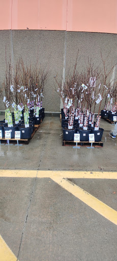 Home Improvement Store «The Home Depot», reviews and photos, 4095 US-1, Monmouth Junction, NJ 08852, USA