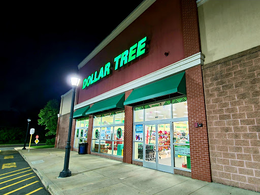 Dollar Store «Dollar Tree», reviews and photos, 495 Flatbush Ave, Hartford, CT 06106, USA