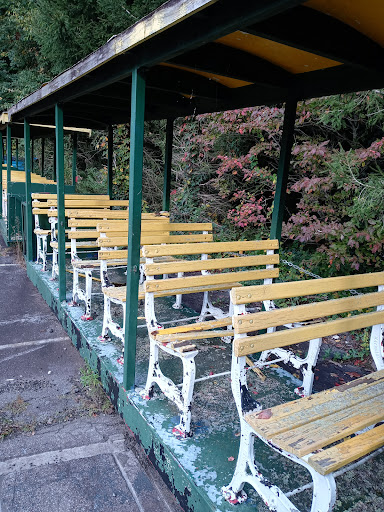 Amusement Center «Ghost Town In The Sky», reviews and photos, 16 Fie Top Rd, Maggie Valley, NC 28751, USA