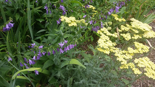 Museum «Friends of Auburn Heights Preserve Inc. & Marshall Steam Museum», reviews and photos, 3000 Creek Rd, Yorklyn, DE 19736, USA