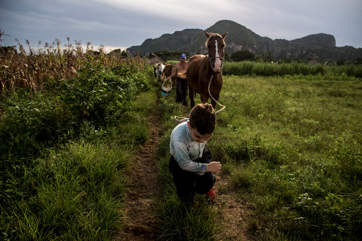 Cours de photographie avec un professionnel du photoreportage