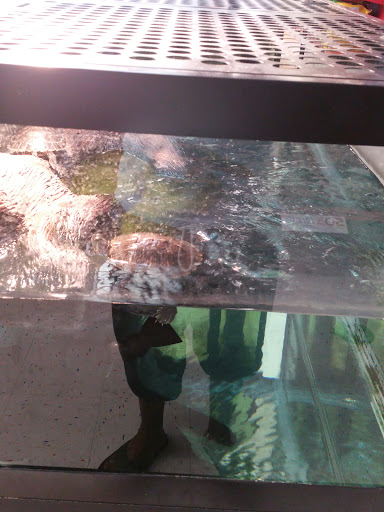 Pet Supply Store «Petco Animal Supplies», reviews and photos, 2723 Stroschein Rd, Monroeville, PA 15146, USA