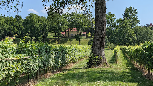 Vineyard «Muse Vineyards», reviews and photos, 16 Serendipity Ln, Woodstock, VA 22664, USA
