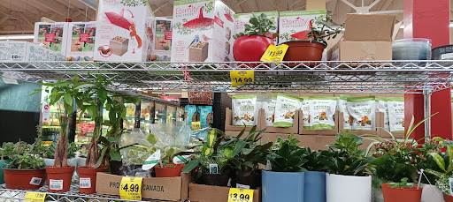 Grocery Store «Grocery Outlet Bargain Market», reviews and photos, 9026 E Valley Blvd, Rosemead, CA 91770, USA