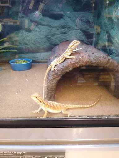 Pet Supply Store «Petco Animal Supplies», reviews and photos, 86 Storrs Rd, Mansfield Center, CT 06250, USA