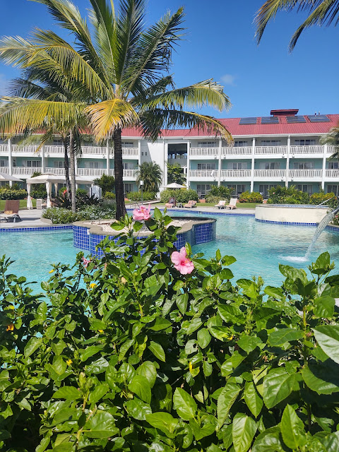 Magical Memory Planners