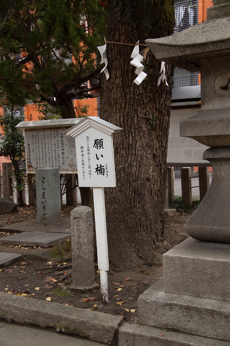 東高津宮 願い楠