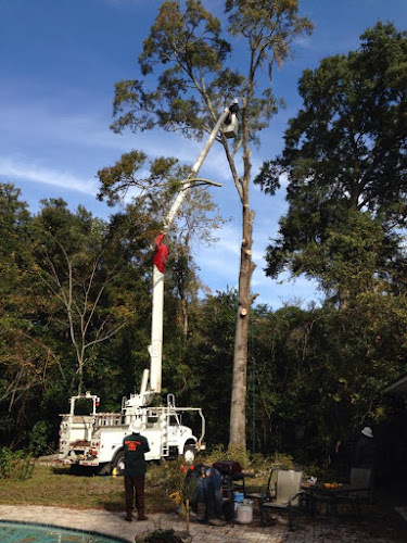 Daughtry Tree Service - Alachua County, FL