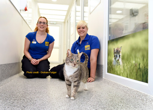 Cats Protection - Mitcham Homing Centre