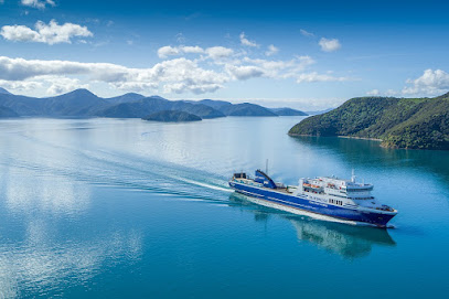 Bluebridge Cook Strait Ferry Wellington Terminal