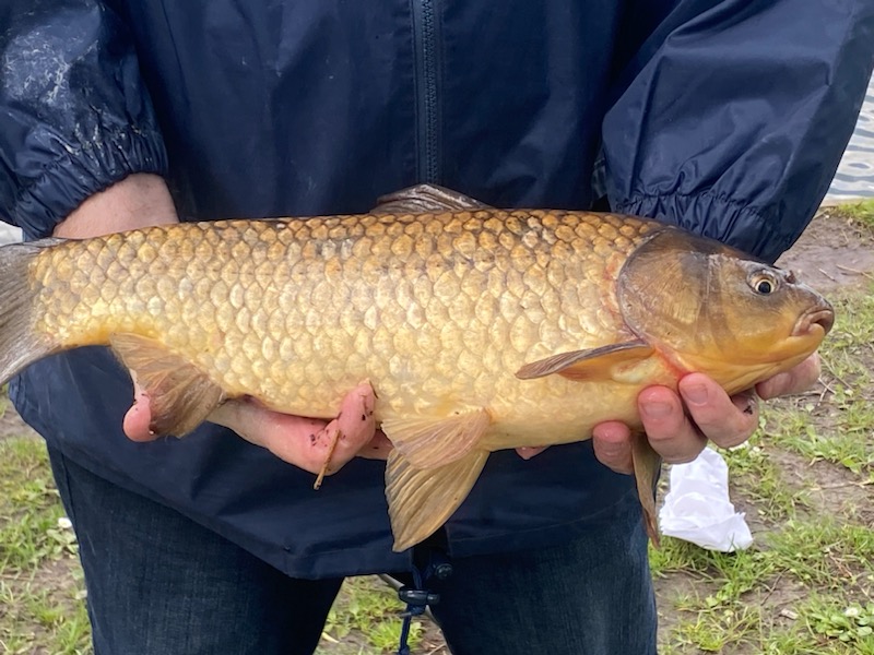 Photo n° 1 de l'avis de chtitraction59. fait le 07/05/2021 à 15:56