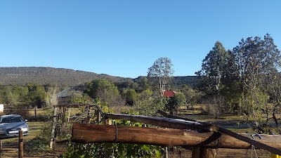 Photos of Bokmakierie