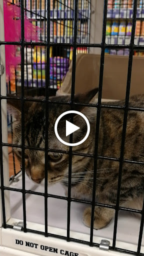 Pet Supply Store «Pet Supermarket», reviews and photos, 2585 N Atlantic Ave, Daytona Beach, FL 32118, USA