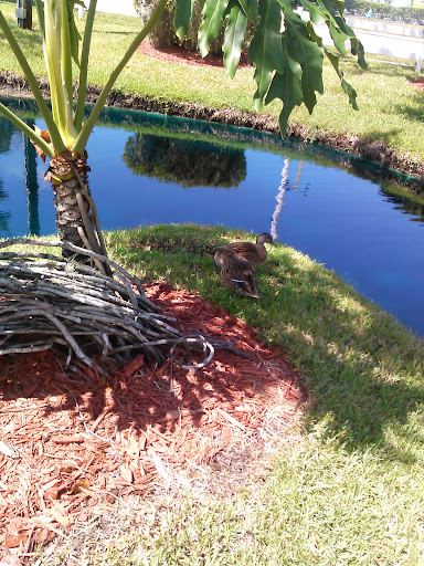 Theme Park «Fun Spot America Theme Parks-Kissimmee», reviews and photos, 2850 Florida Plaza Blvd, Kissimmee, FL 34746, USA