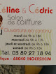 Salon de coiffure Céline et Cédric 68040 Ingersheim