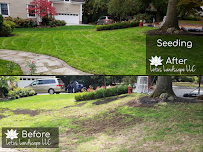 Lotus Landscape LLC - Photo 8 - Car repair in Rahway, NJ, Staten Island