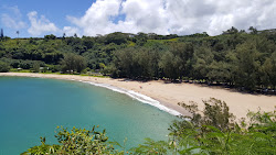 Kalihiwai Beach'in fotoğrafı geniş ile birlikte