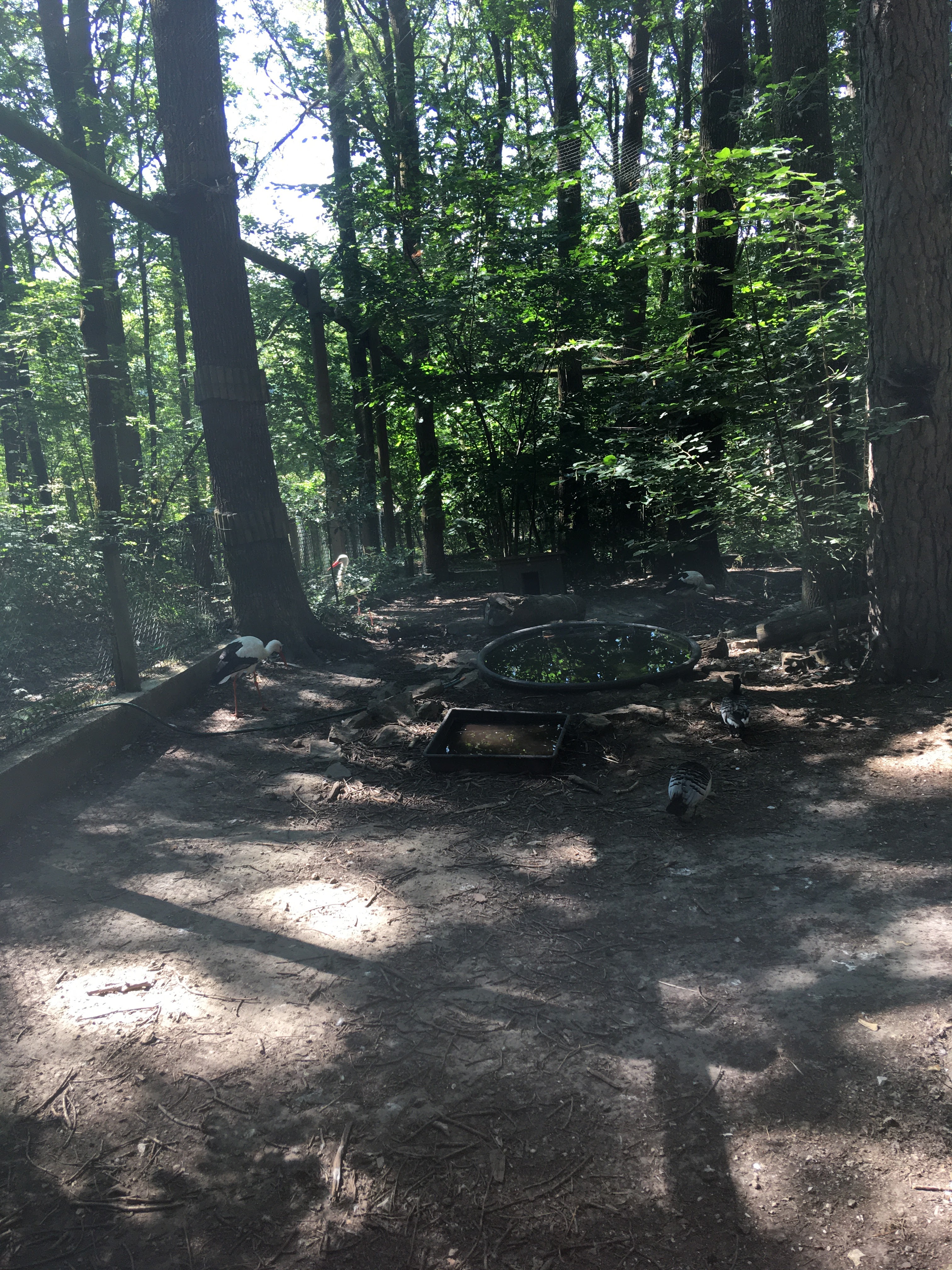 Photo n° 18 de l'avis de Kad.o fait le 12/07/2020 à 13:08