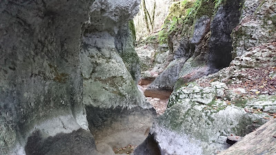 Canyon d'Amondans à Amondans