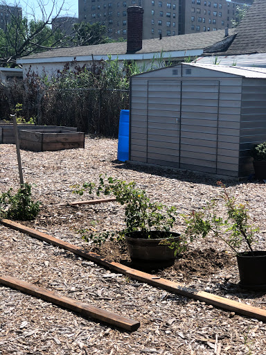 Edgemere Coalition Community Garden image 8