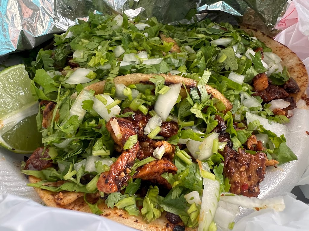 Guanajuata Taco Stand 50702