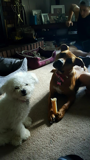 Pet Supply Store «Petco Animal Supplies», reviews and photos, 141 Tuckahoe Rd #130, Sewell, NJ 08080, USA