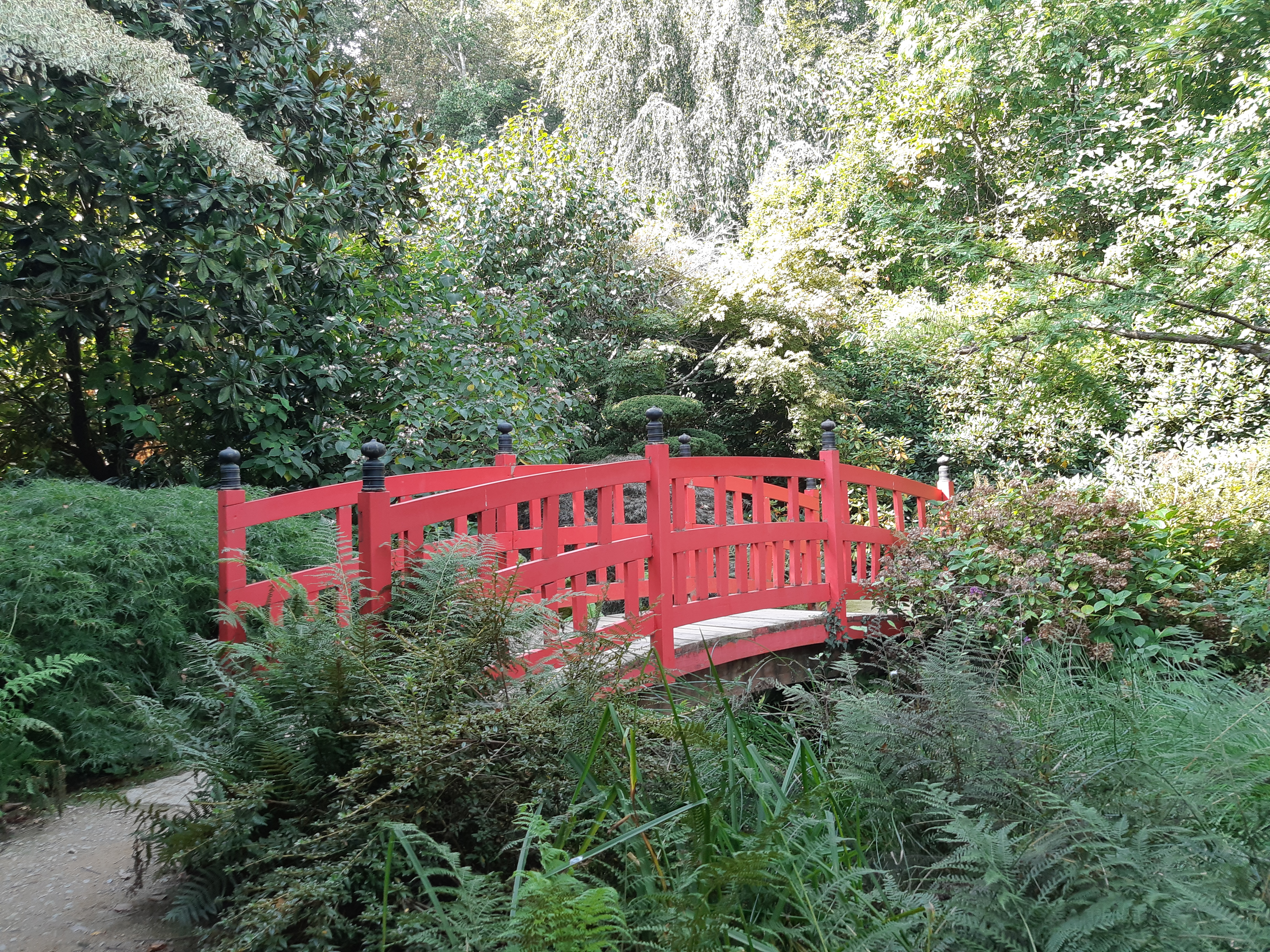 Photo n° 27 de l'avis de Florence. fait le 18/09/2020 à 18:05