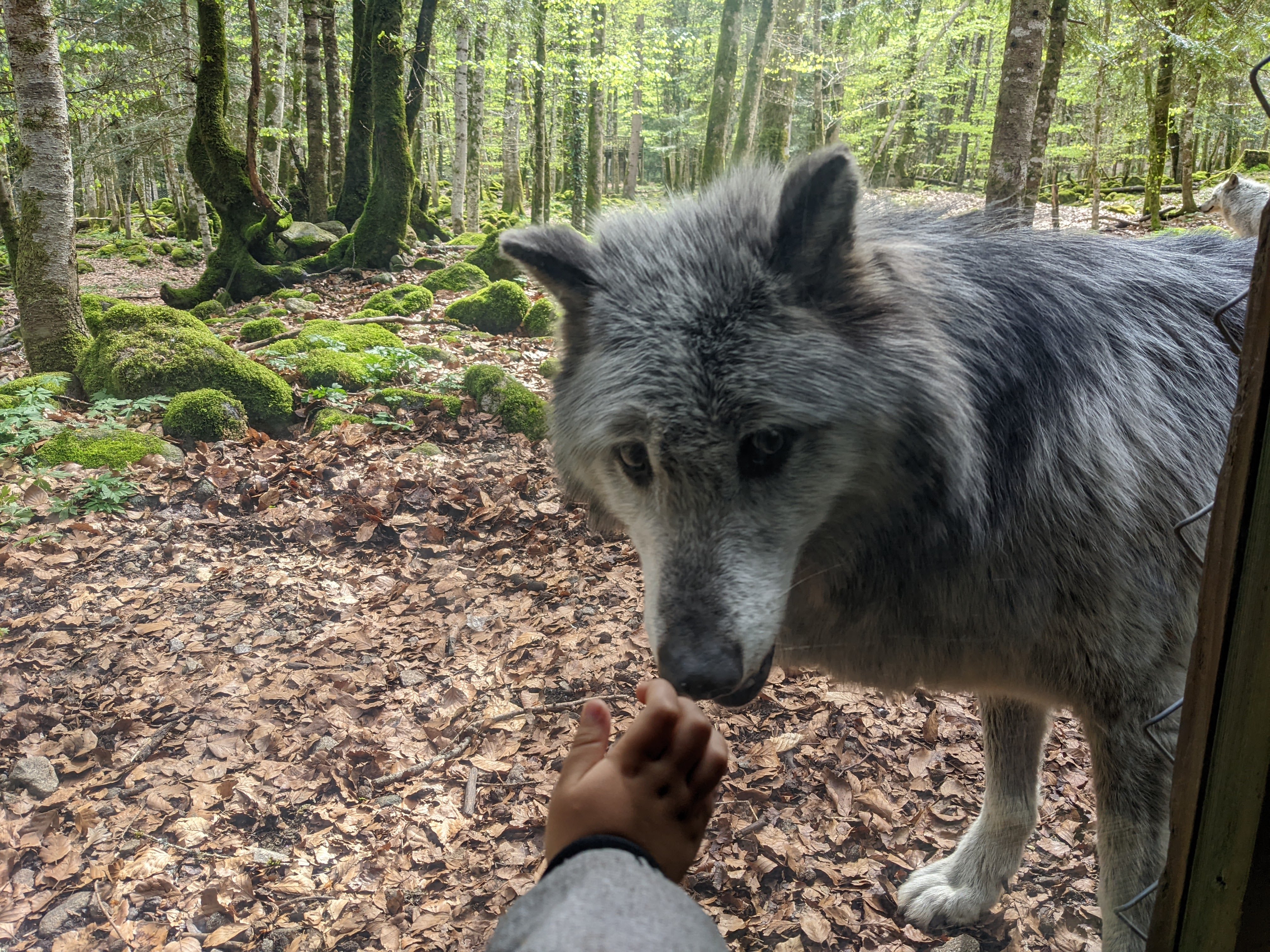 Photo n° 3 de l'avis de sara.e fait le 28/04/2022 à 08:59