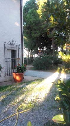 Extérieur Vacances à la ferme Antichi Palmenti 57027 San Vincenzo