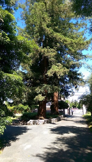 Carmelite Monastery - photo 34