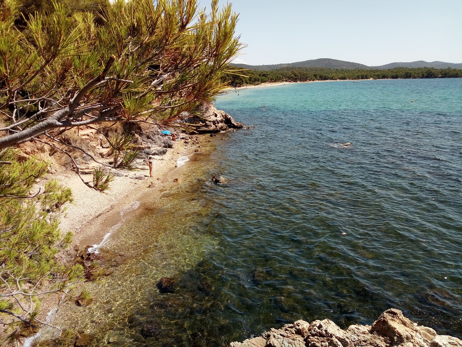 Plage Crique du Pellegrin'in fotoğrafı düz bir kıyı şeridi ile birlikte