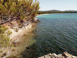 Plage Crique du Pellegrin'in fotoğrafı düz bir kıyı şeridi ile birlikte