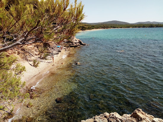 Plage Crique du Pellegrin