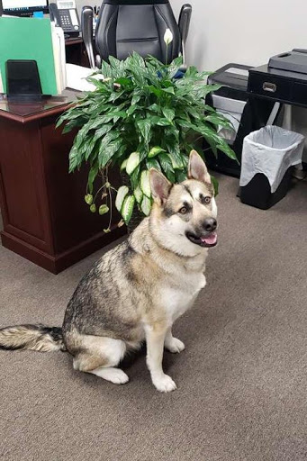 Insurance Agency «Farm Bureau Financial Services - Tim Lundgren, Agent», reviews and photos