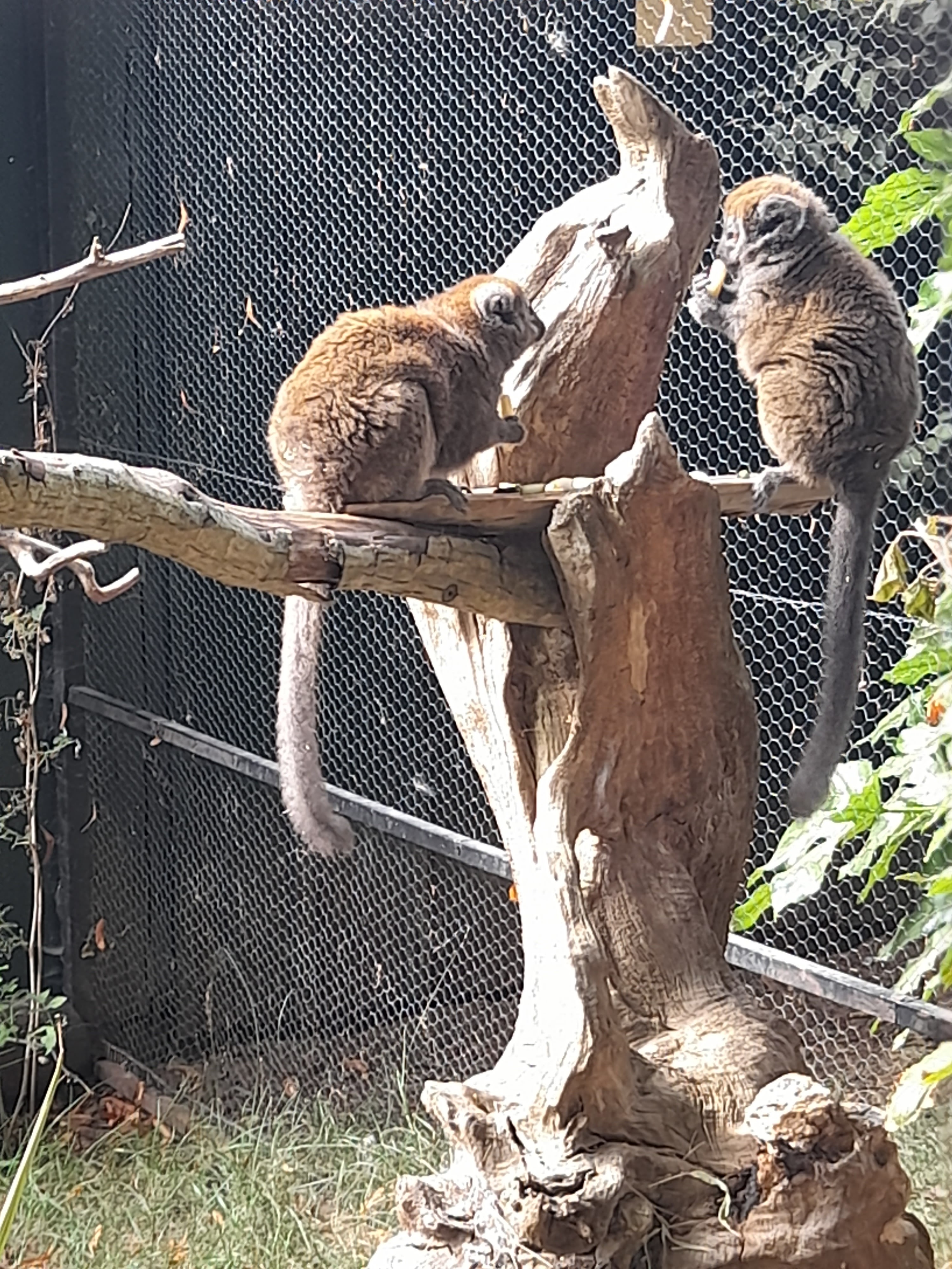 Photo n° 1 de l'avis de pauline.o fait le 15/08/2022 à 18:00