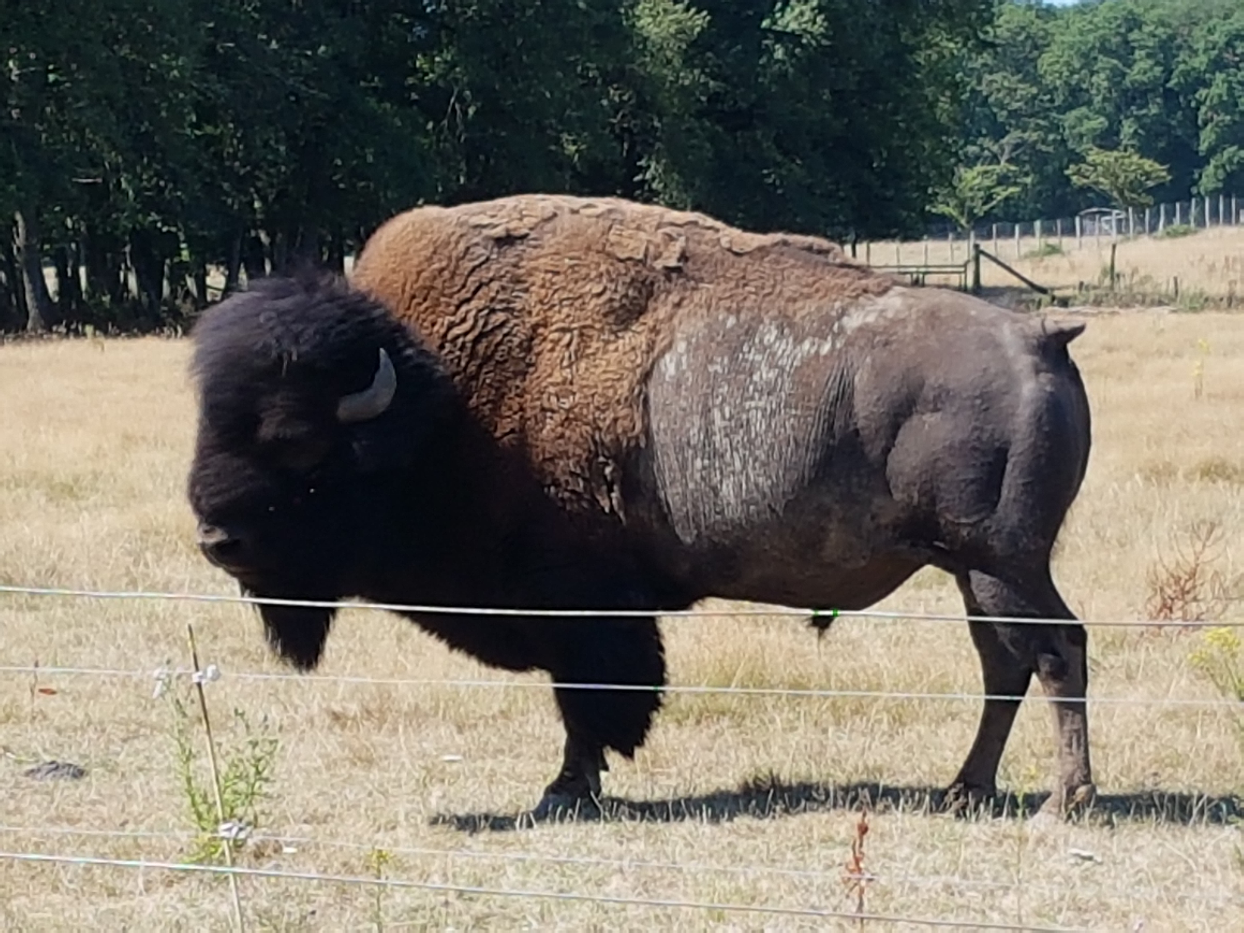 Photo n° 4 de l'avis de Antoine.u fait le 28/08/2018 à 20:48