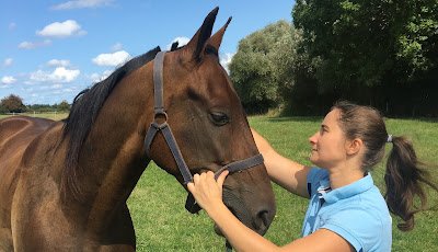 Eloïse Médard - Ostéopathe pour animaux à Souleuvre en Bocage