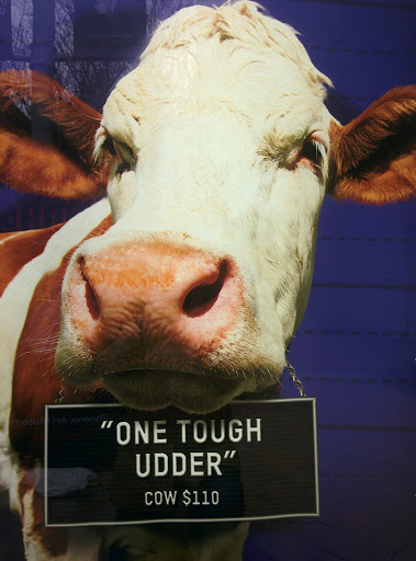 Sandwich Shop «Panera Bread», reviews and photos, 2502 E Camelback Rd, Phoenix, AZ 85016, USA