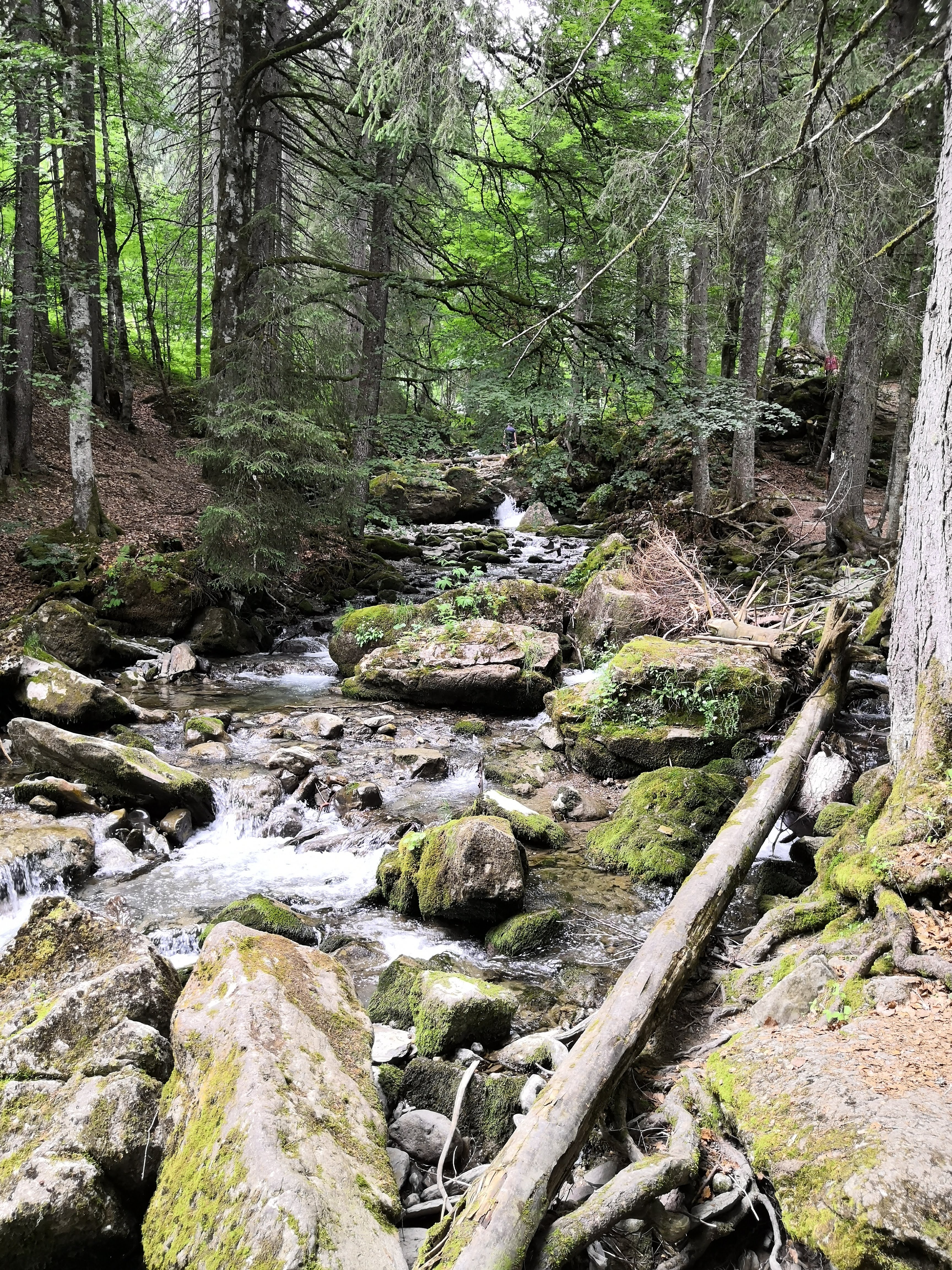 Photo n° 7 de l'avis de Régis.a fait le 21/08/2019 à 21:18