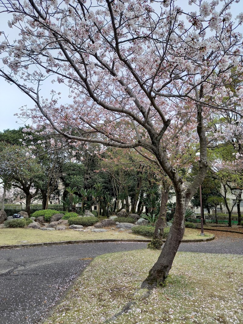 桜ヶ丘中央公園