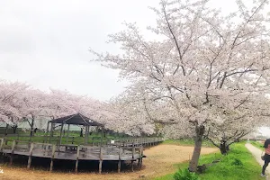 Kawakubo Park image