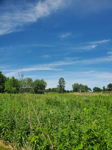 Bird Watching Area «Coffee Creek Watershed Preserve», reviews and photos, 2401 Village Point, Chesterton, IN 46304, USA