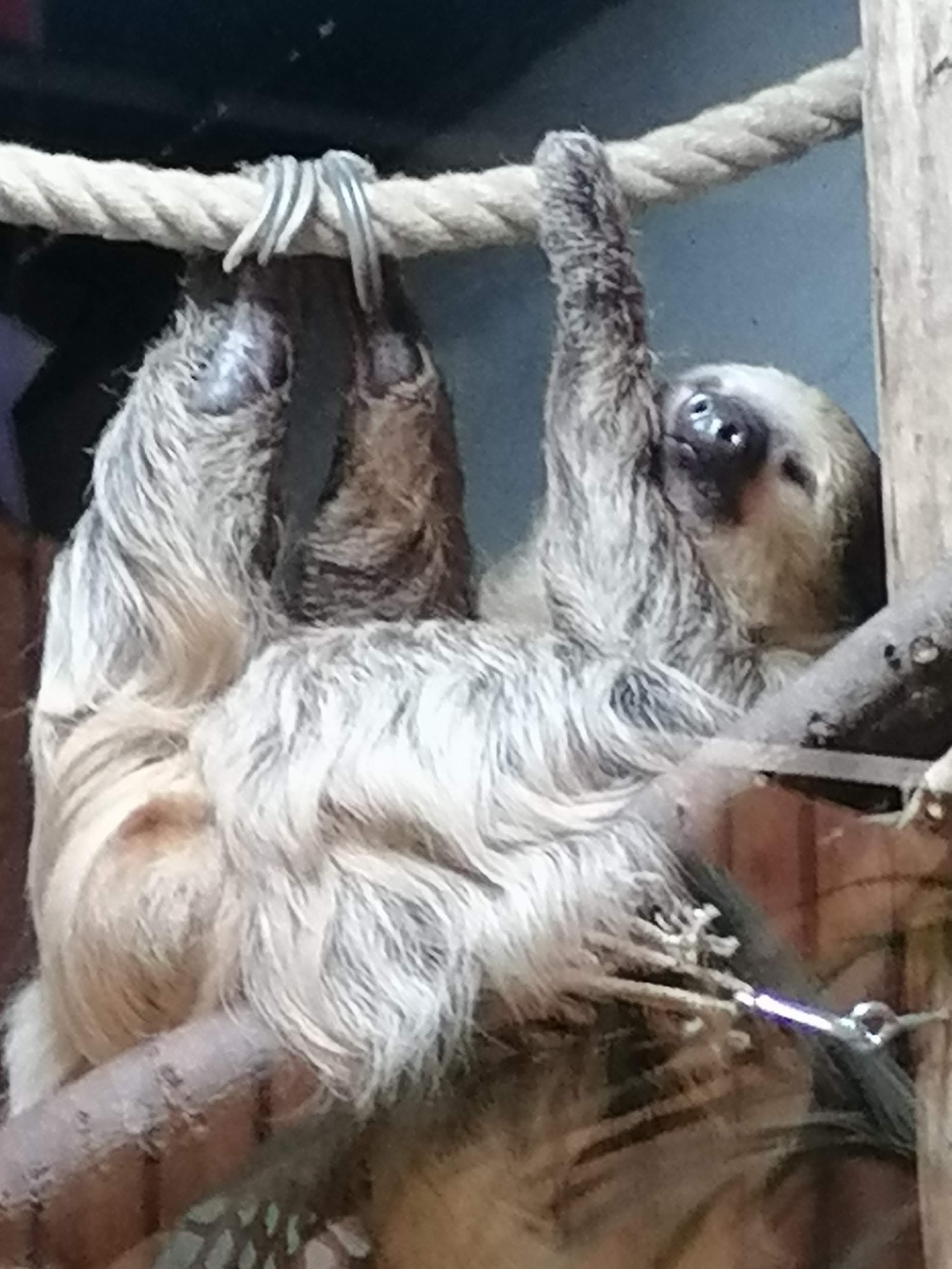 Photo n° 10 de l'avis de Gaele.e fait le 30/10/2023 à 08:36