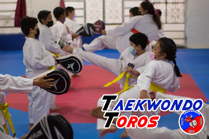 Taekwondo Toros