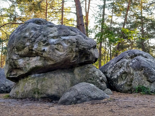 Réserve de la Solle à Bourron-Marlotte