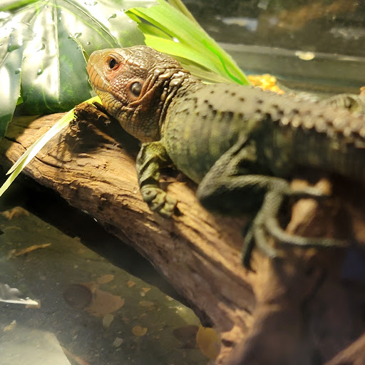 Pet Store «Fin & Feather Pet Center, Inc.», reviews and photos, 5208 Lakeside Ave, Richmond, VA 23228, USA