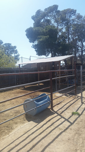 Zoo «Jr Pony Parties», reviews and photos, 1744 N Leonard Ln, Las Vegas, NV 89108, USA